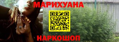 прущие грибы Новодвинск