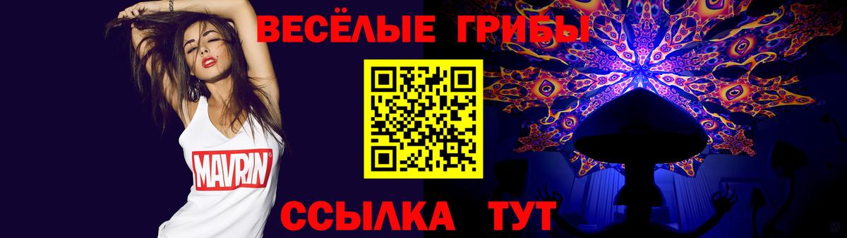 Галлюциногенные грибы мухоморы Чернушка