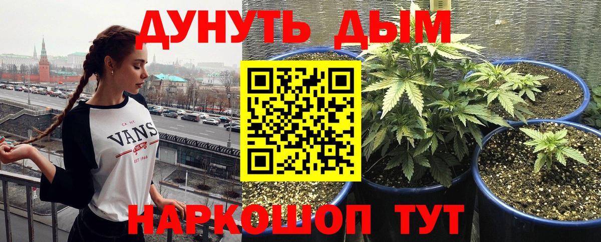 Каннабис MAZAR  Конопля гибрид  Вход с VPN  Чернушка  Шишки марихуана OG Kush 